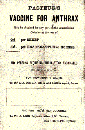 Vaccine Advertisement